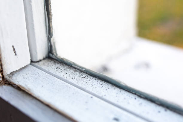 Dehumidification Services in Kiryas Joel, NY